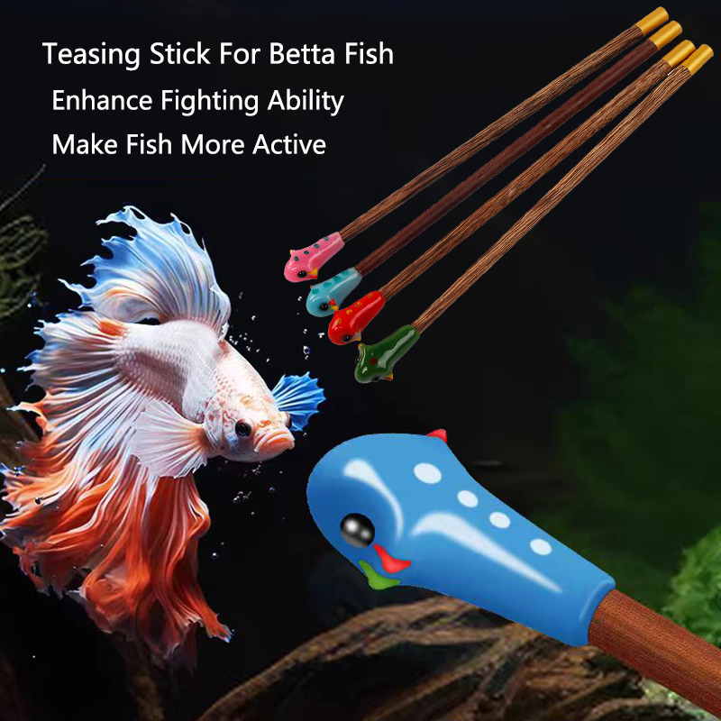 Aquarium Fish Game - Aquarium Betta Training Wand Wooden Playing
