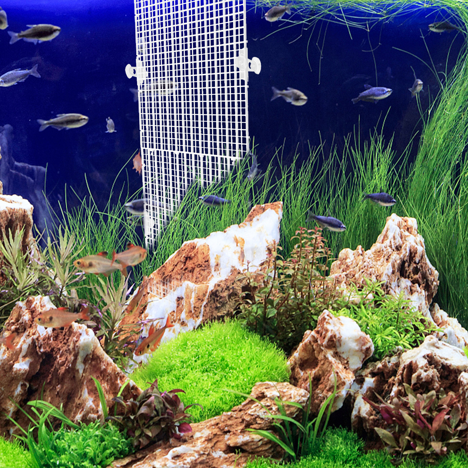 Aquarium Fish Net - 2Pcs Fish Tank Divider Aquarium Separator