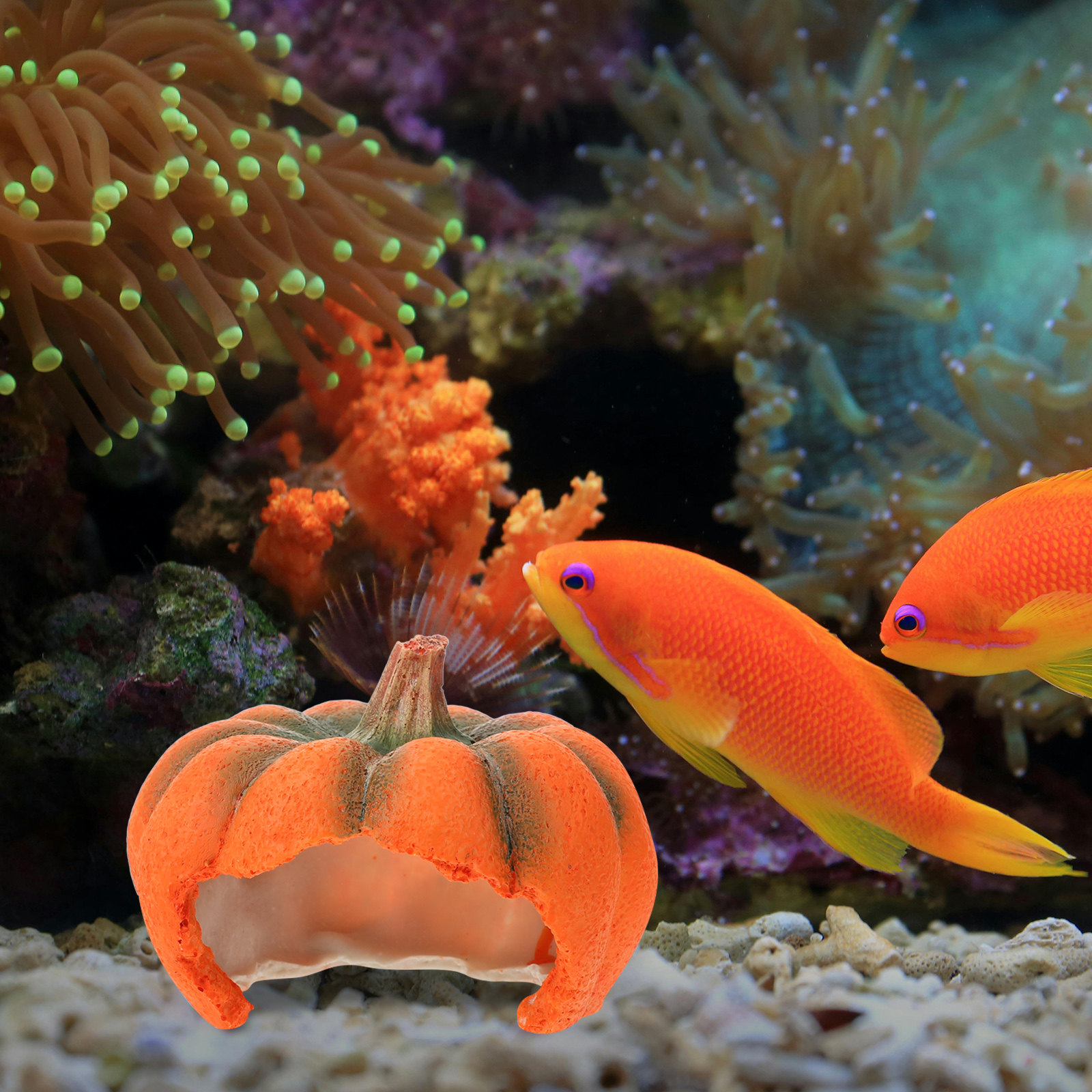 Aquarium Fish Unique - Pumpkin Shaped Aquarium Decor Unique Cartoon