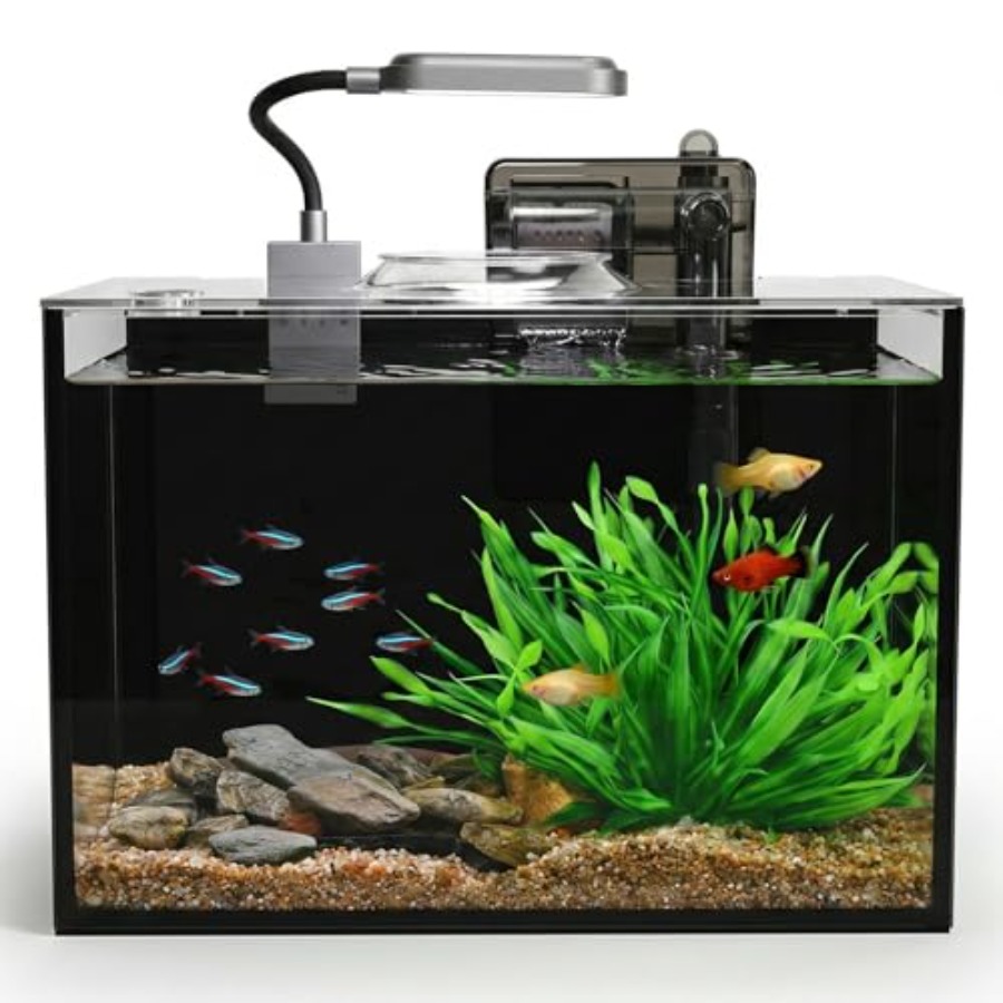 Aquarium Fish Keeping - 5 Small Aquarium Set Glass Fish