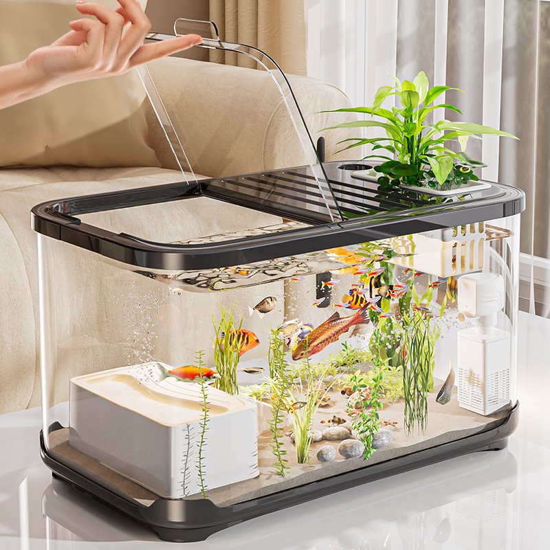 Aquarium Fish Beautiful - High Definition Transparent Fish Tank Home