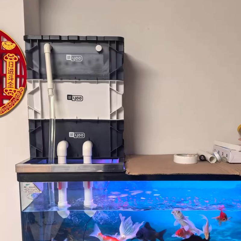 Box Fish In Aquarium - Fish Tank Filters Aquarium Turnover Box