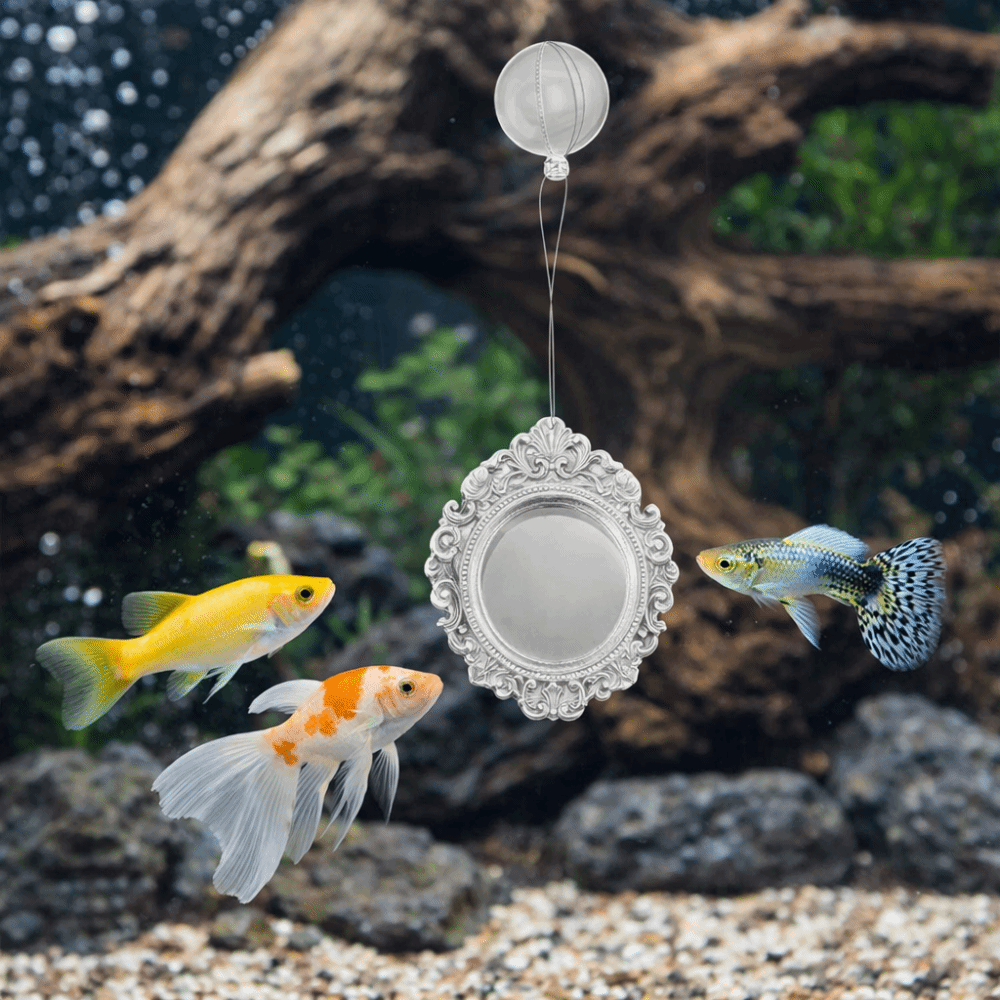 Fish Toys For Aquarium - Funny Retro Style Betta Fish Training