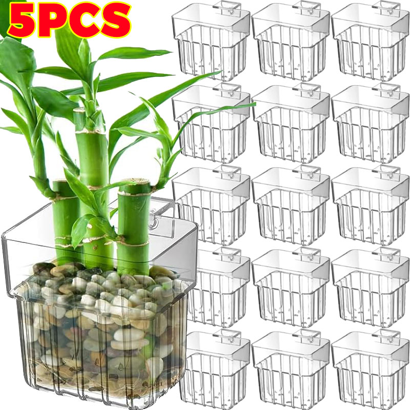 Box Fish In Aquarium - 1/5pcs Aquarium Decoration Plant Cup Transparent