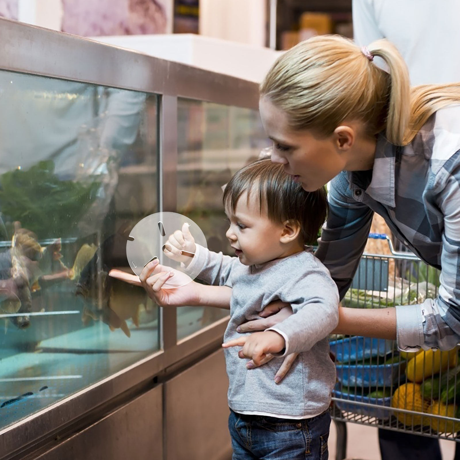 Acrylic Aquarium Anti Jumping  - Fish Toy In Aquarium ulasan dan harga