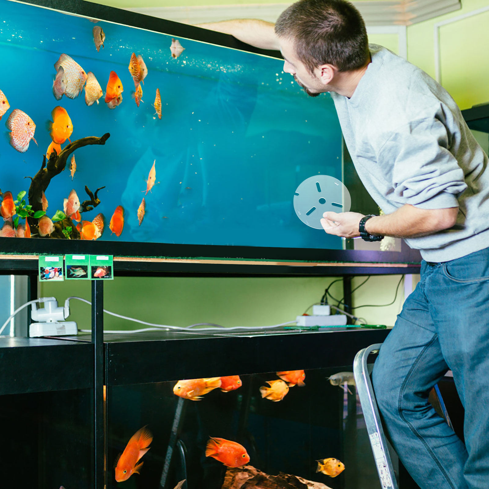 Acrylic Aquarium Anti Jumping  - Fish Toy In Aquarium ulasan dan harga