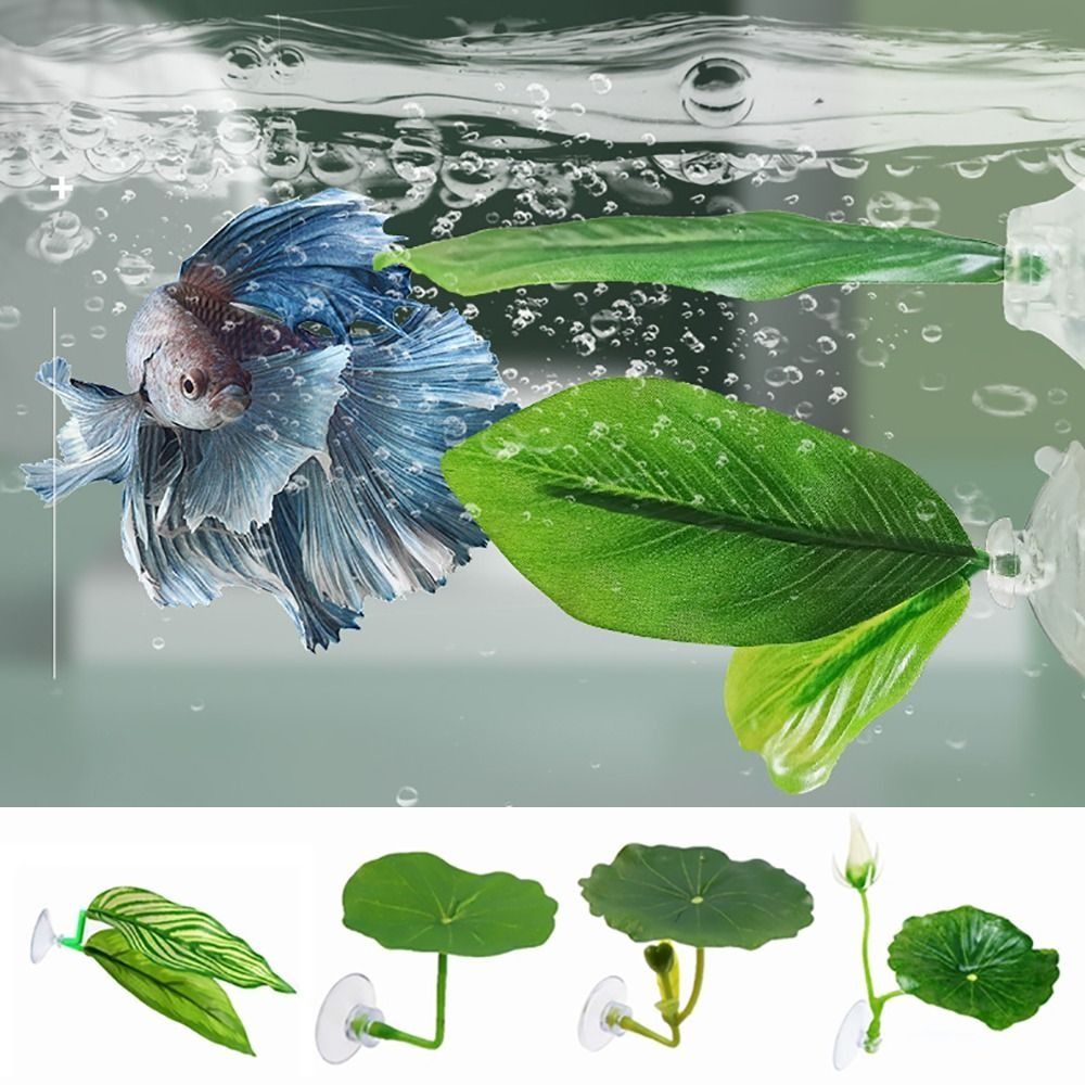 Plastic Betta Fish Rest Leaf S - Aquarium Fish Game ulasan dan harga