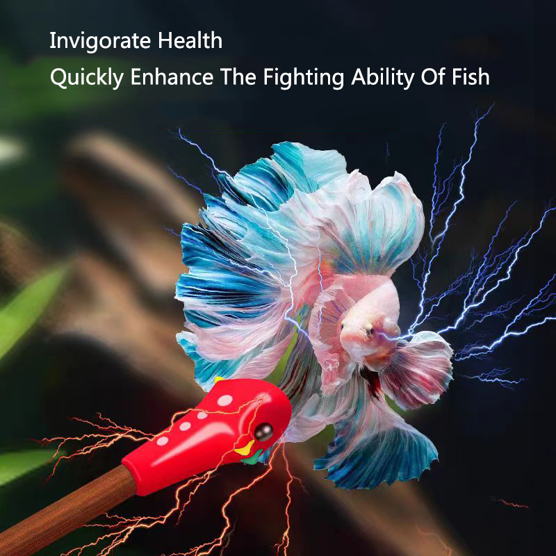 Aquarium Betta Training Wand W - Aquarium Fish Game ulasan dan harga