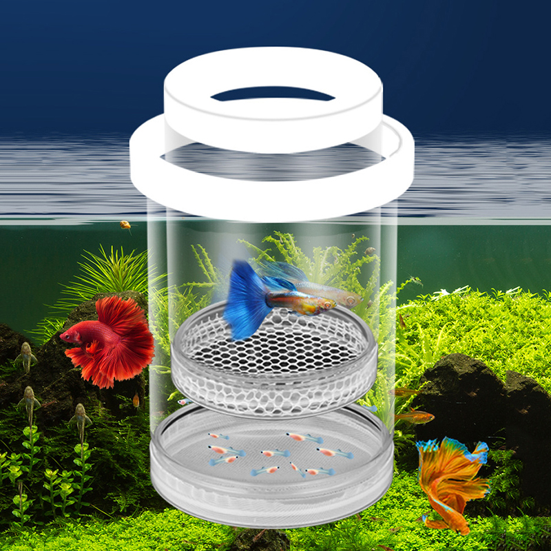 [LA]1Pc Floating Fish Breeding - Box Fish In Aquarium ulasan dan harga