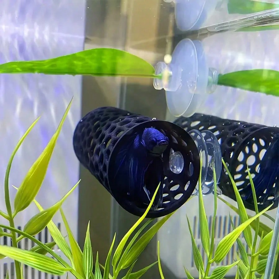 Aquarium Fish Hideout Black Ho - Aquarium Fish Game ulasan dan harga