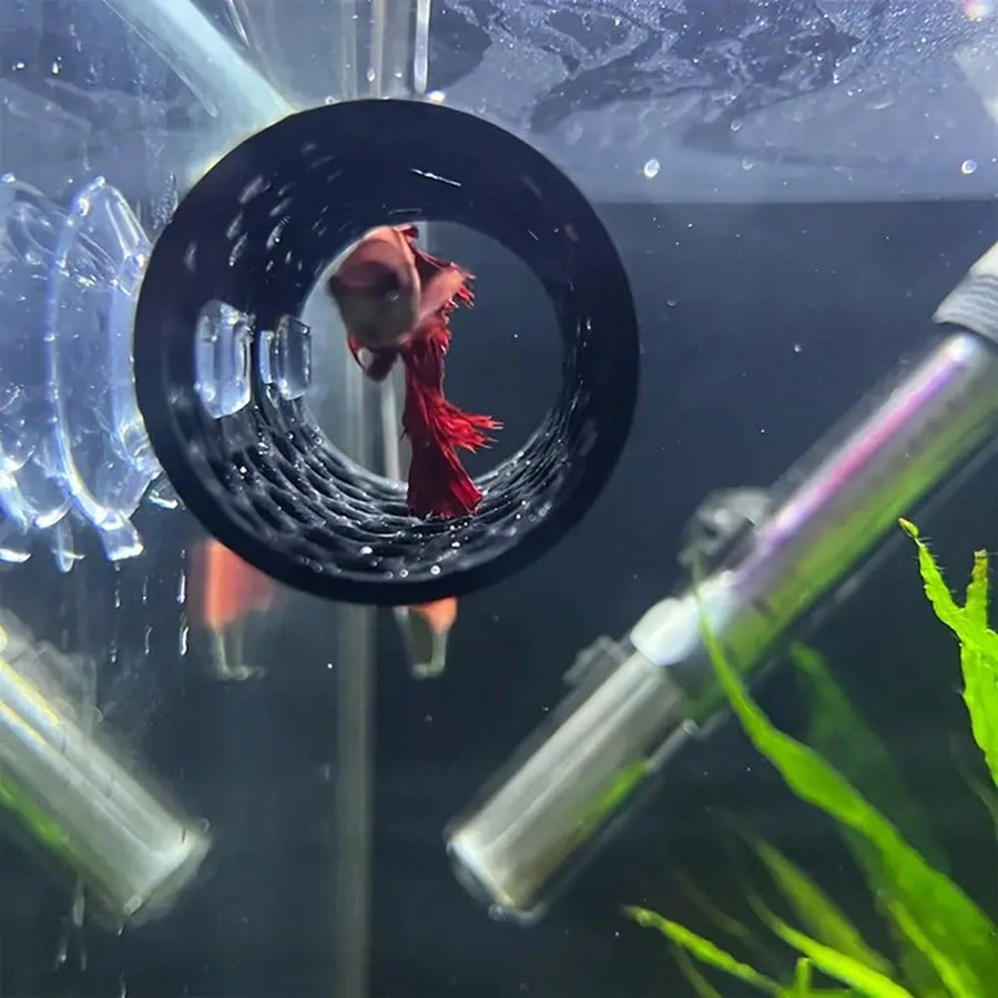 Aquarium Fish Hideout Black Ho - Aquarium Fish Game ulasan dan harga