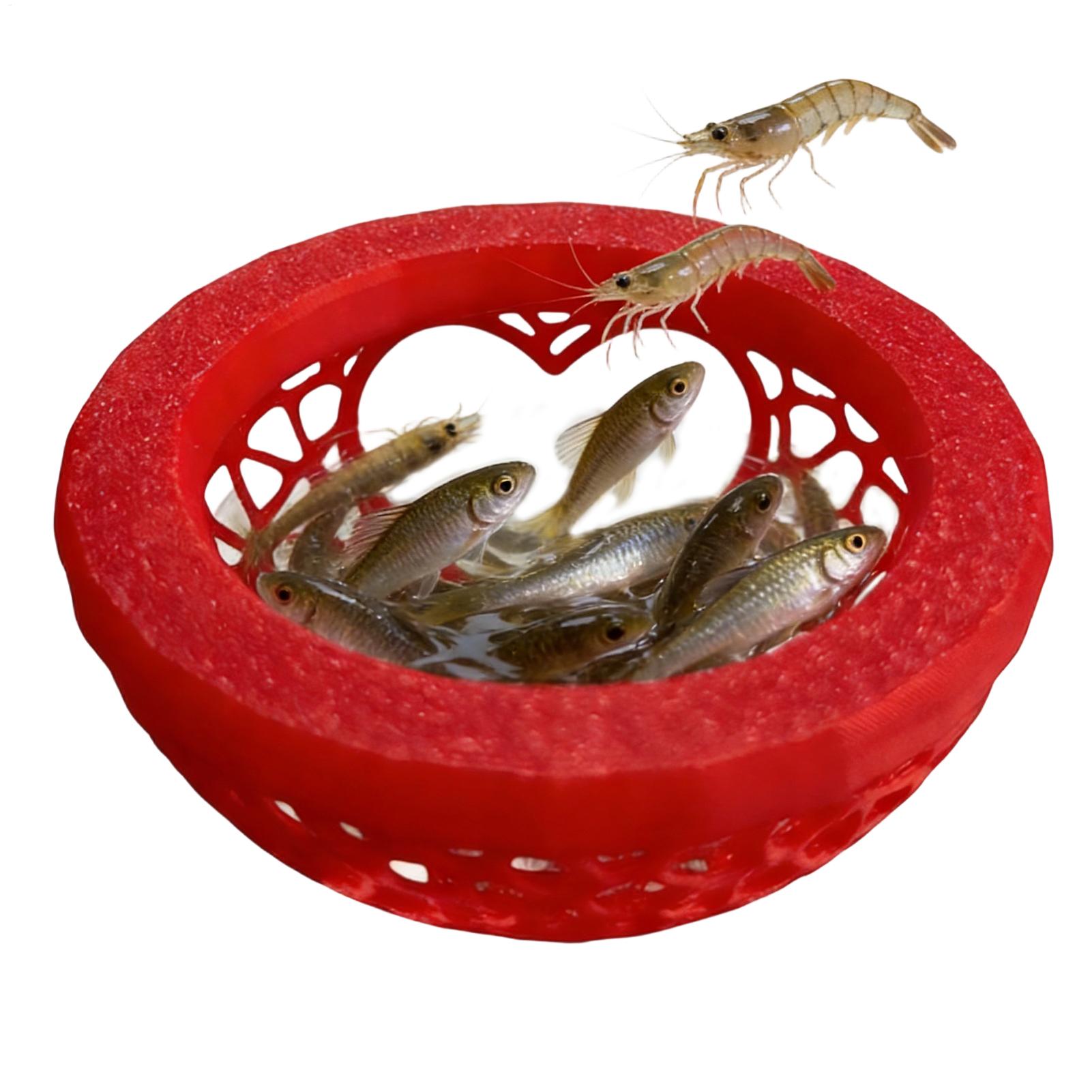 Floating betta shelter Betta h - Aquarium Fish Game ulasan dan harga