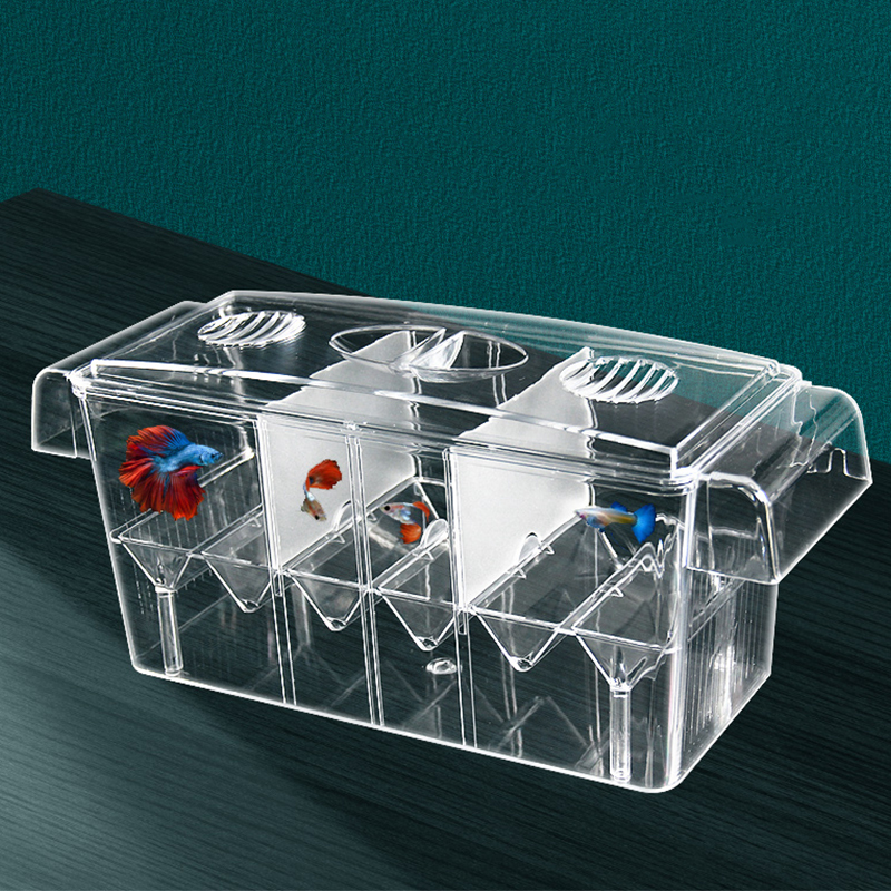 Clear Aquarium Fish Tank Isola - Box Fish In Aquarium ulasan dan harga