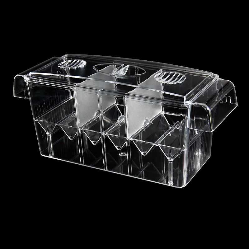 Clear Aquarium Fish Tank Isola - Box Fish In Aquarium ulasan dan harga
