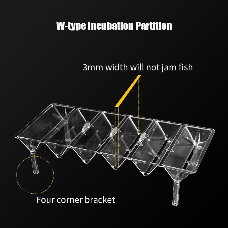 Clear Aquarium Fish Tank Isola - Box Fish In Aquarium ulasan dan harga