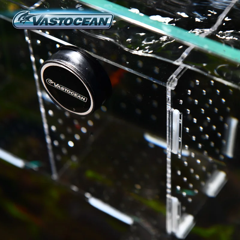 VASTOCEAN Fish Tank Magnetic C - Box Fish In Aquarium ulasan dan harga