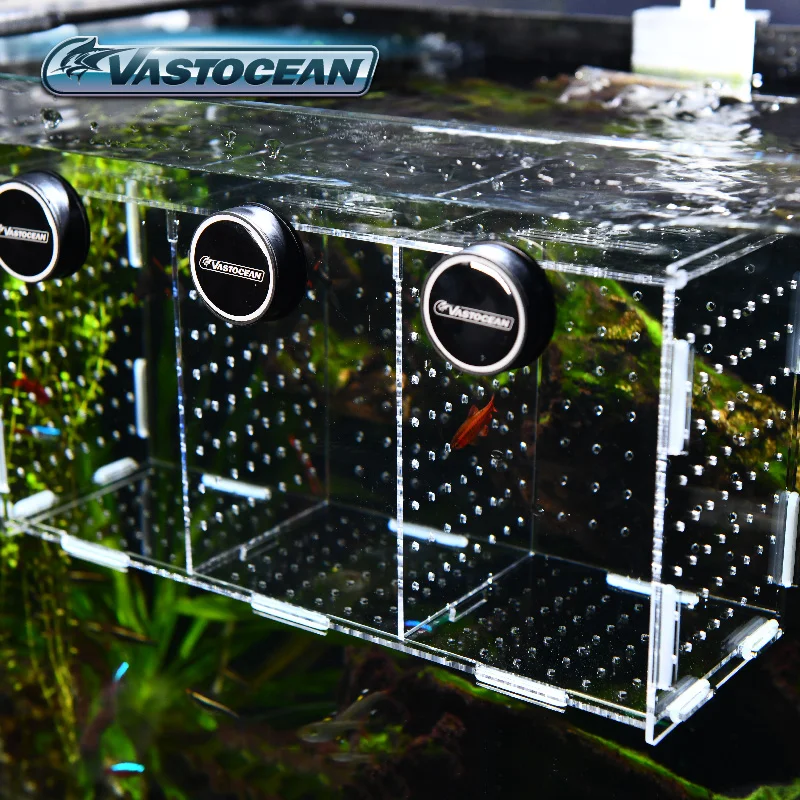 VASTOCEAN Fish Tank Magnetic C - Box Fish In Aquarium ulasan dan harga