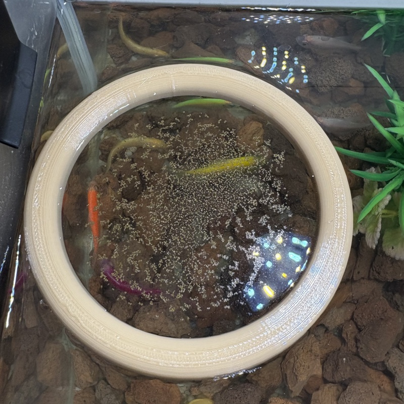 Aquarium feeders keep the aqua - Aquarium Fish Keeping ulasan dan harga
