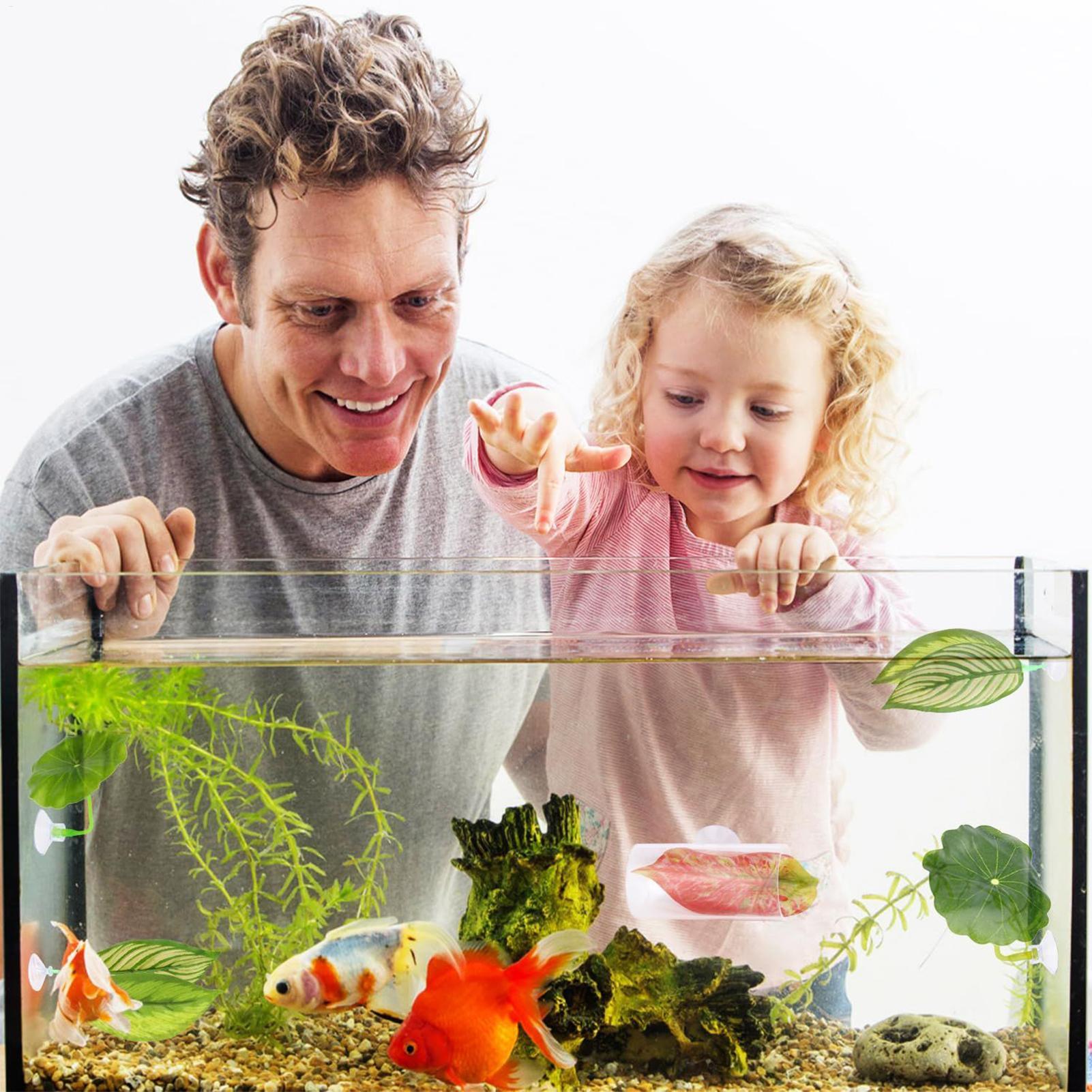 Betta Hammock For Aquarium 5 P - Fish Toys For Aquarium ulasan dan harga