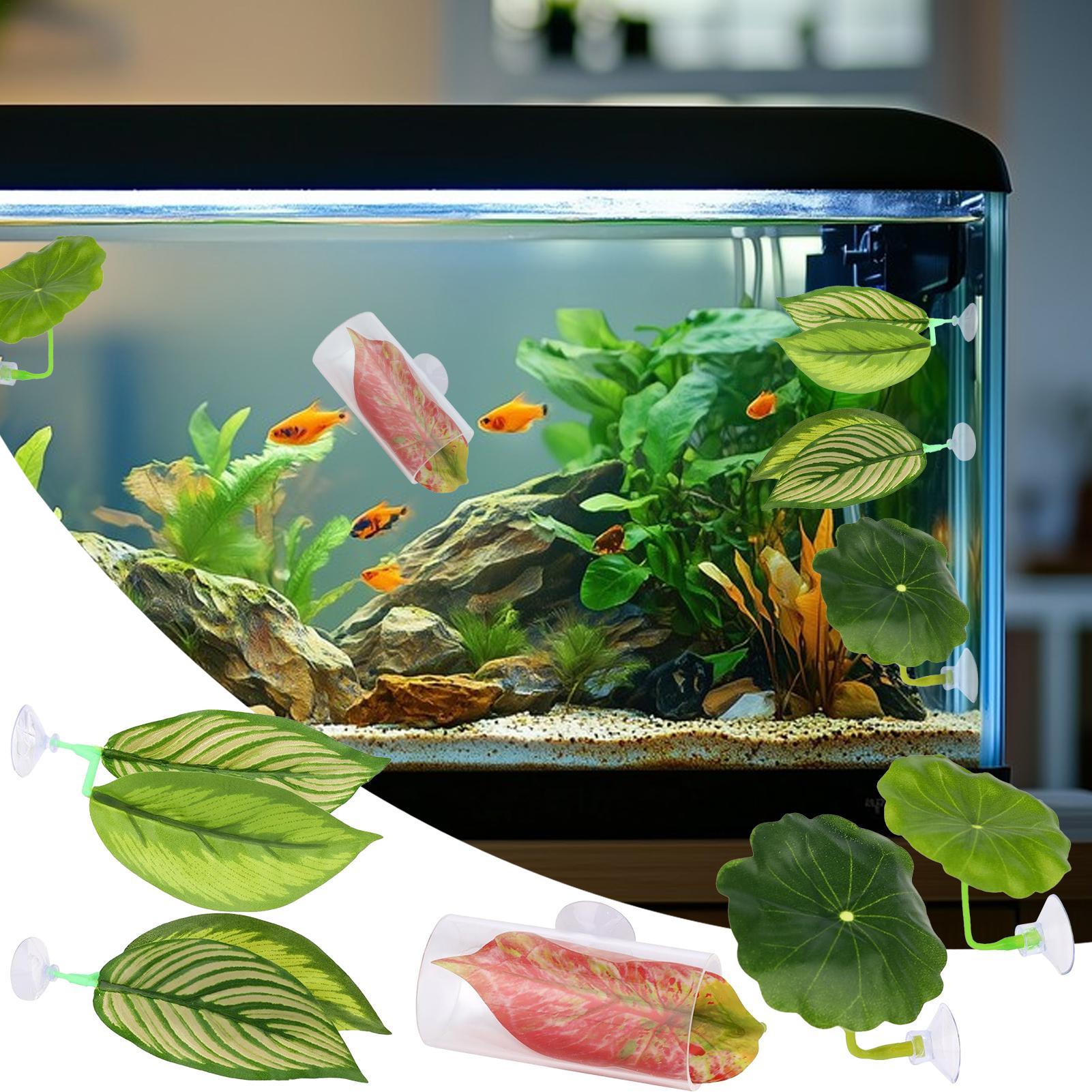 Betta Hammock For Aquarium 5 P - Fish Toys For Aquarium ulasan dan harga