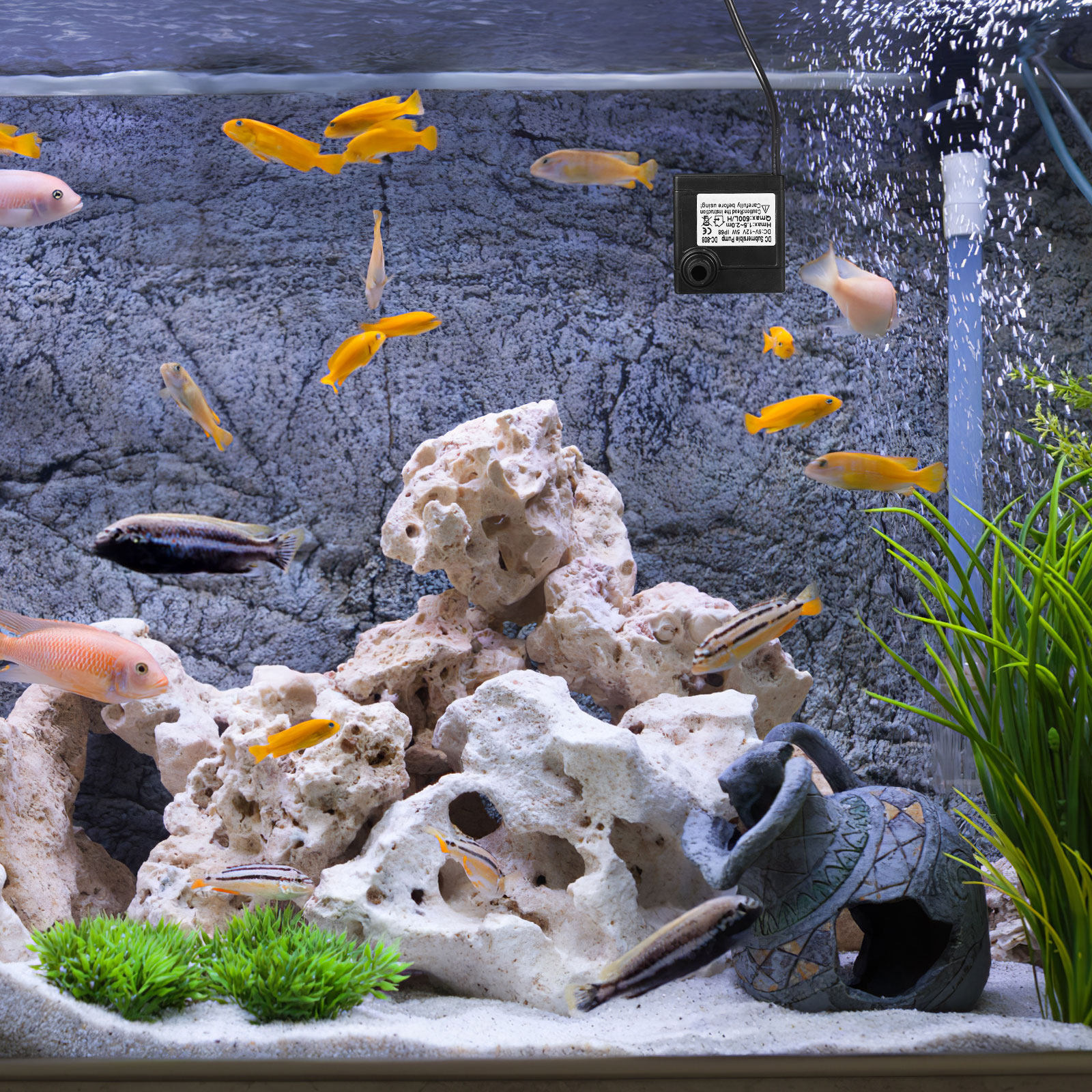 -12V 5W Black Submersible Wate - Aquarium Fish Rate ulasan dan harga