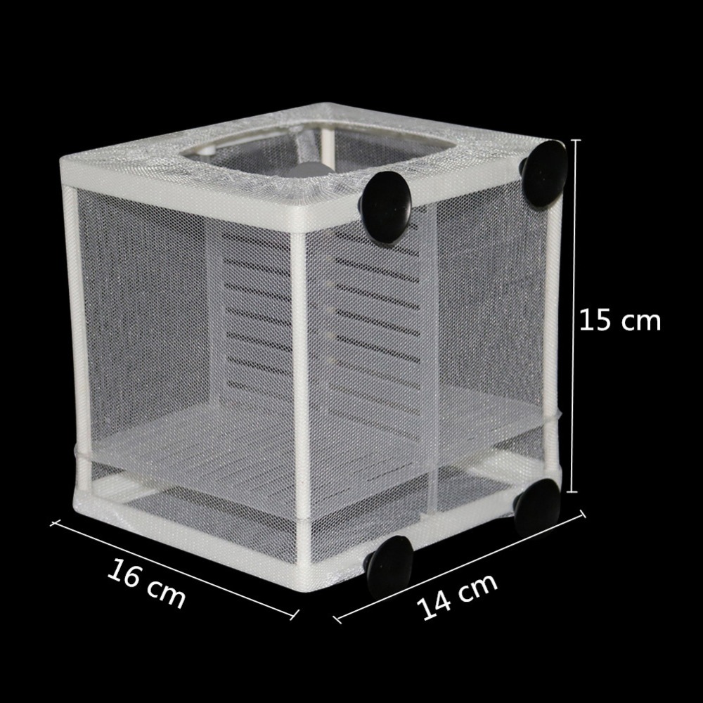 1 Pcs Fish Breeding Incubator  - Box Fish In Aquarium ulasan dan harga