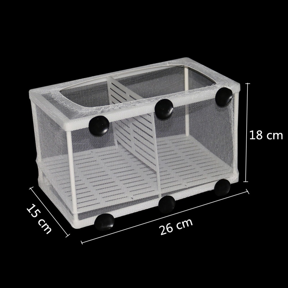 1 Pcs Fish Breeding Incubator  - Box Fish In Aquarium ulasan dan harga