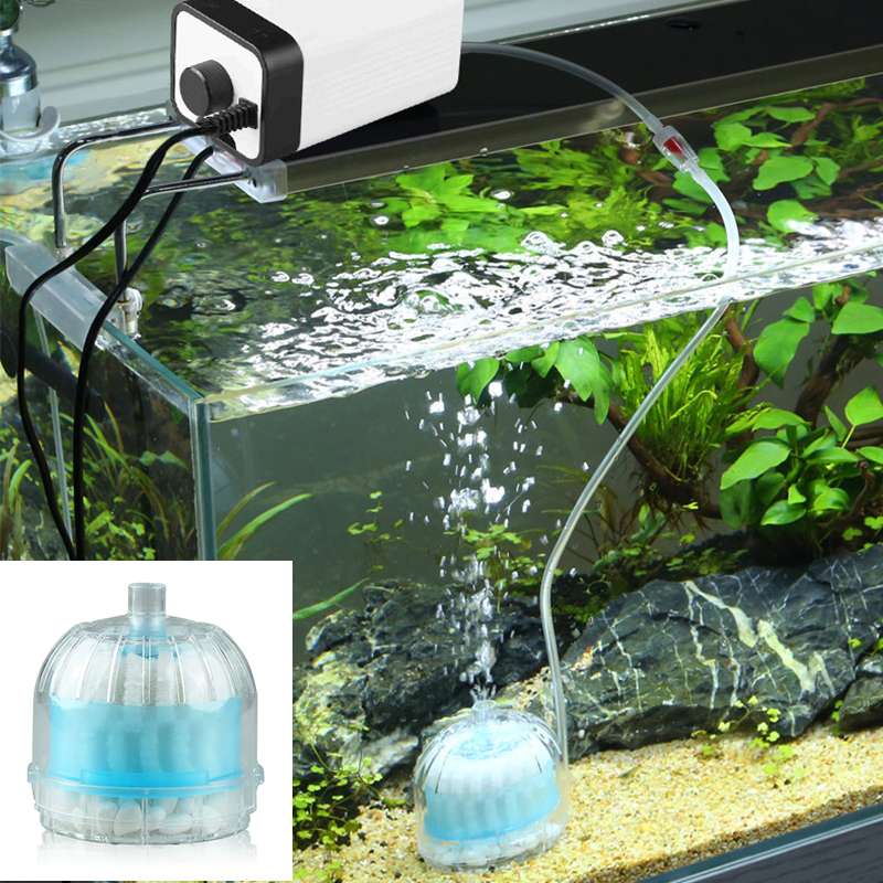 Mini Aquarium Spong Filter Air - Box Fish In Aquarium ulasan dan harga