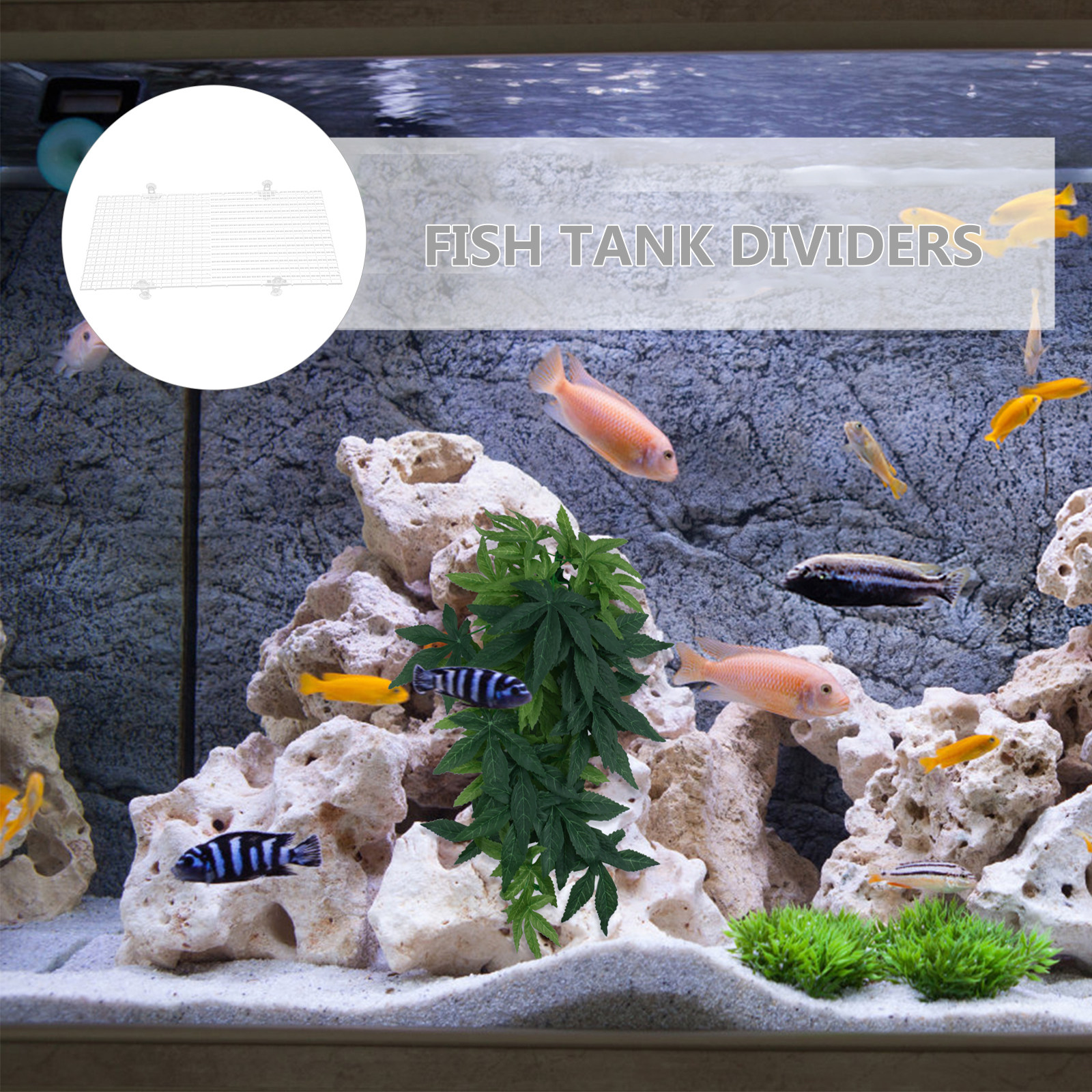 2Pcs Fish Tank Divider Aquariu - Aquarium Fish Net ulasan dan harga