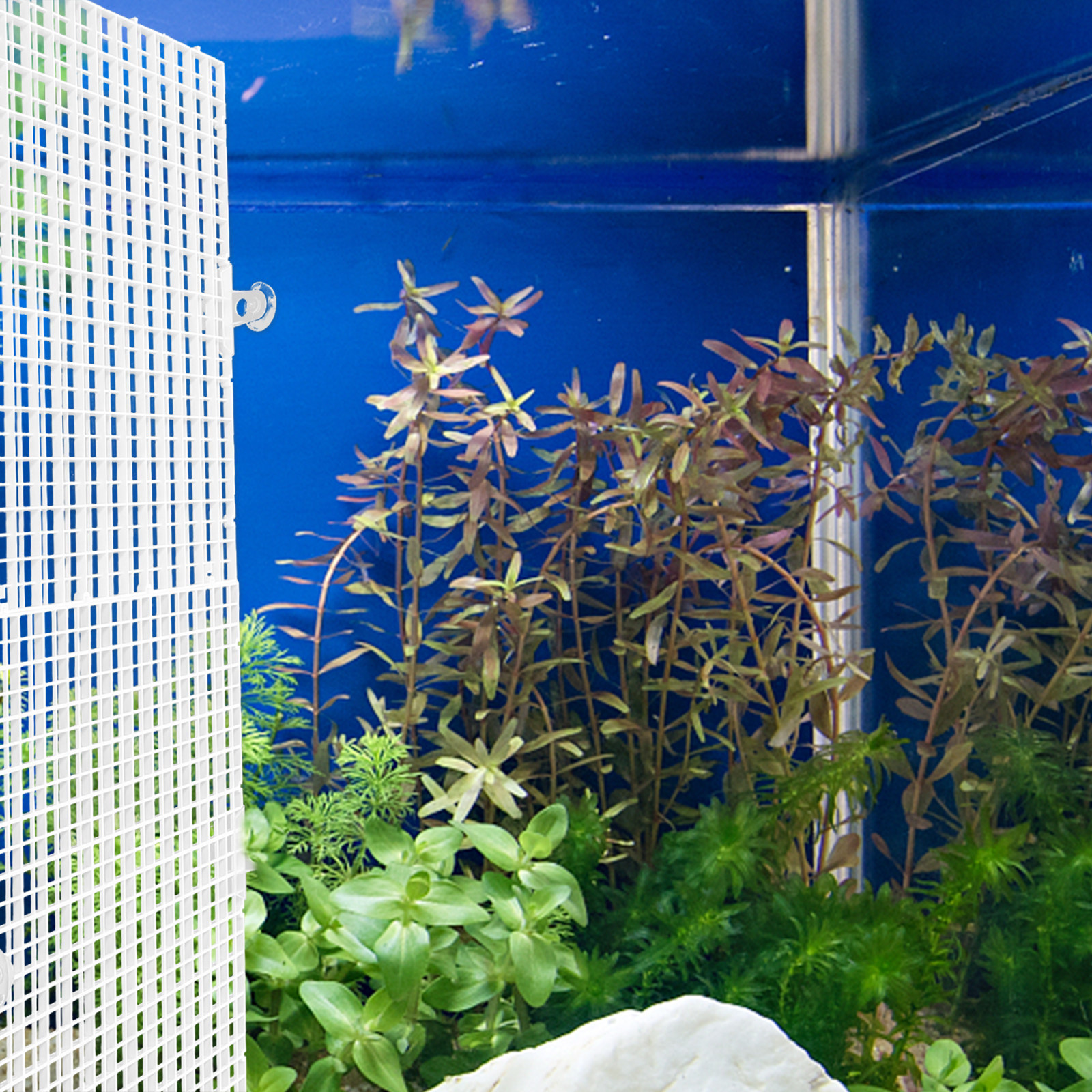 2Pcs Fish Tank Divider Aquariu - Aquarium Fish Net ulasan dan harga
