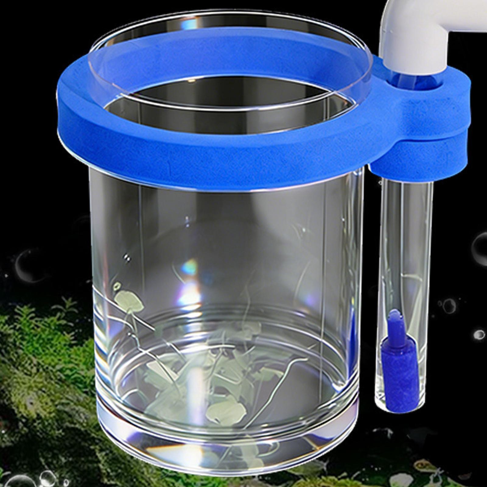 Aquarium Fish Breeding Box Stu - Box Fish In Aquarium ulasan dan harga