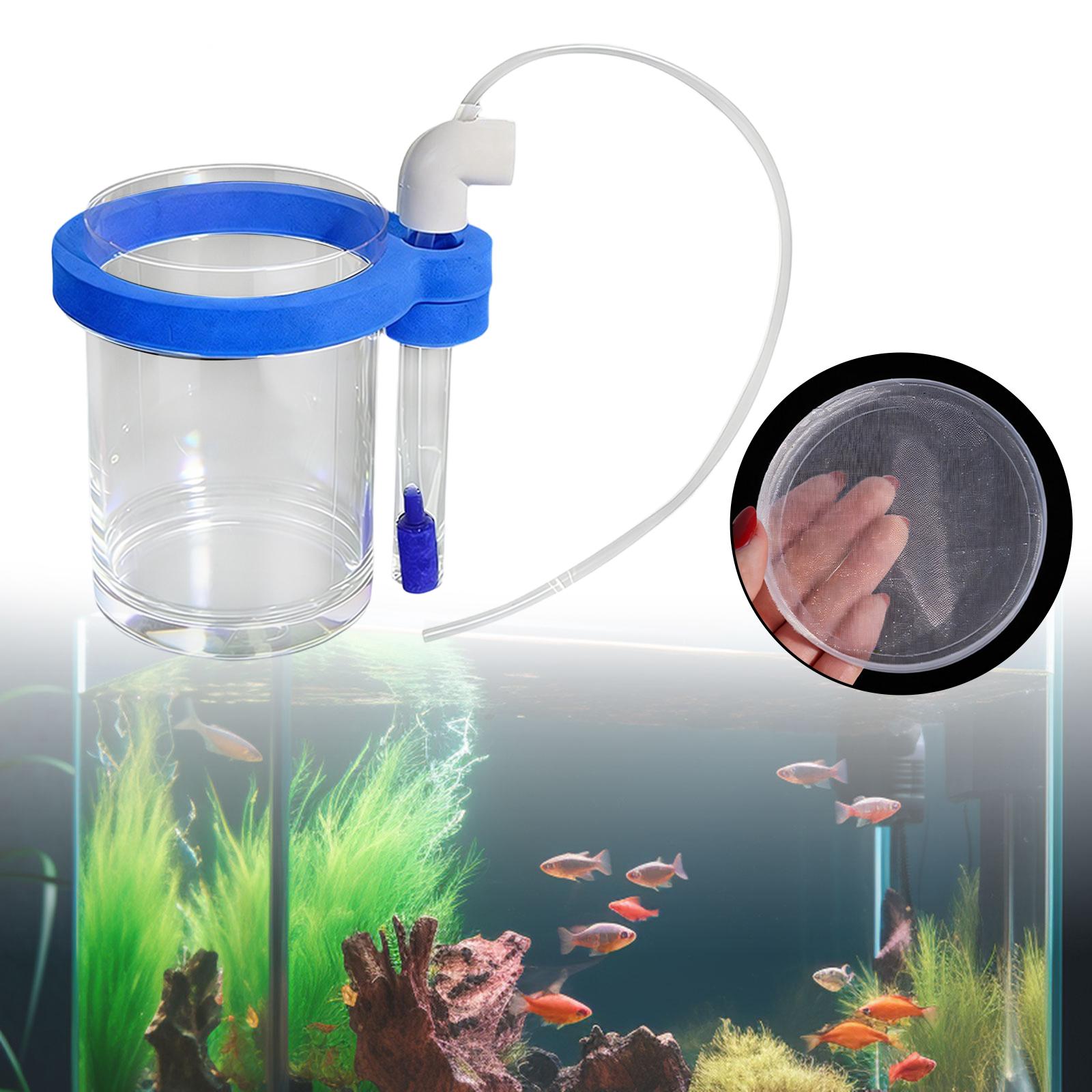 Aquarium Fish Breeding Box Stu - Box Fish In Aquarium ulasan dan harga