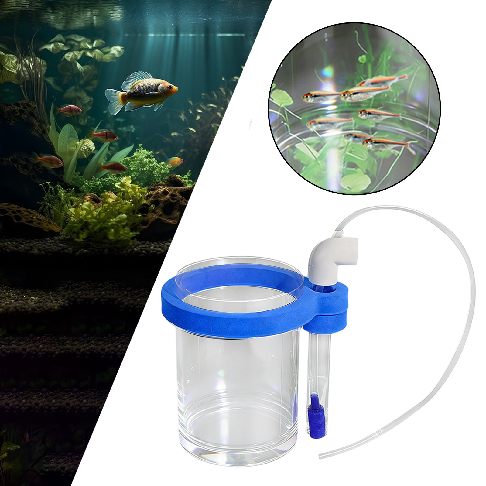 Aquarium Fish Breeding Box Stu - Box Fish In Aquarium ulasan dan harga
