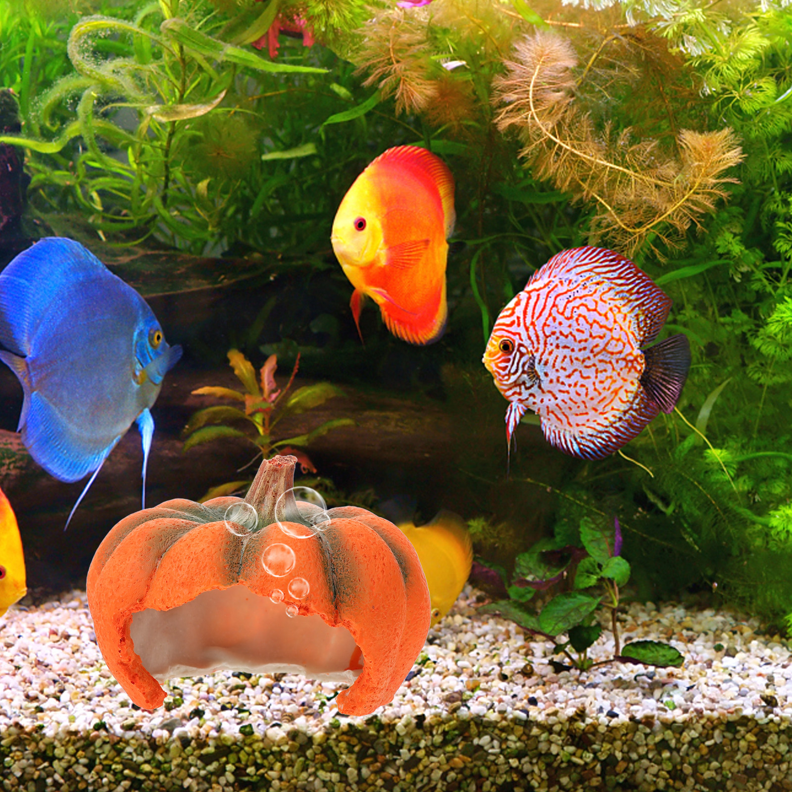 Pumpkin Shaped Aquarium Decor  - Aquarium Fish Unique ulasan dan harga