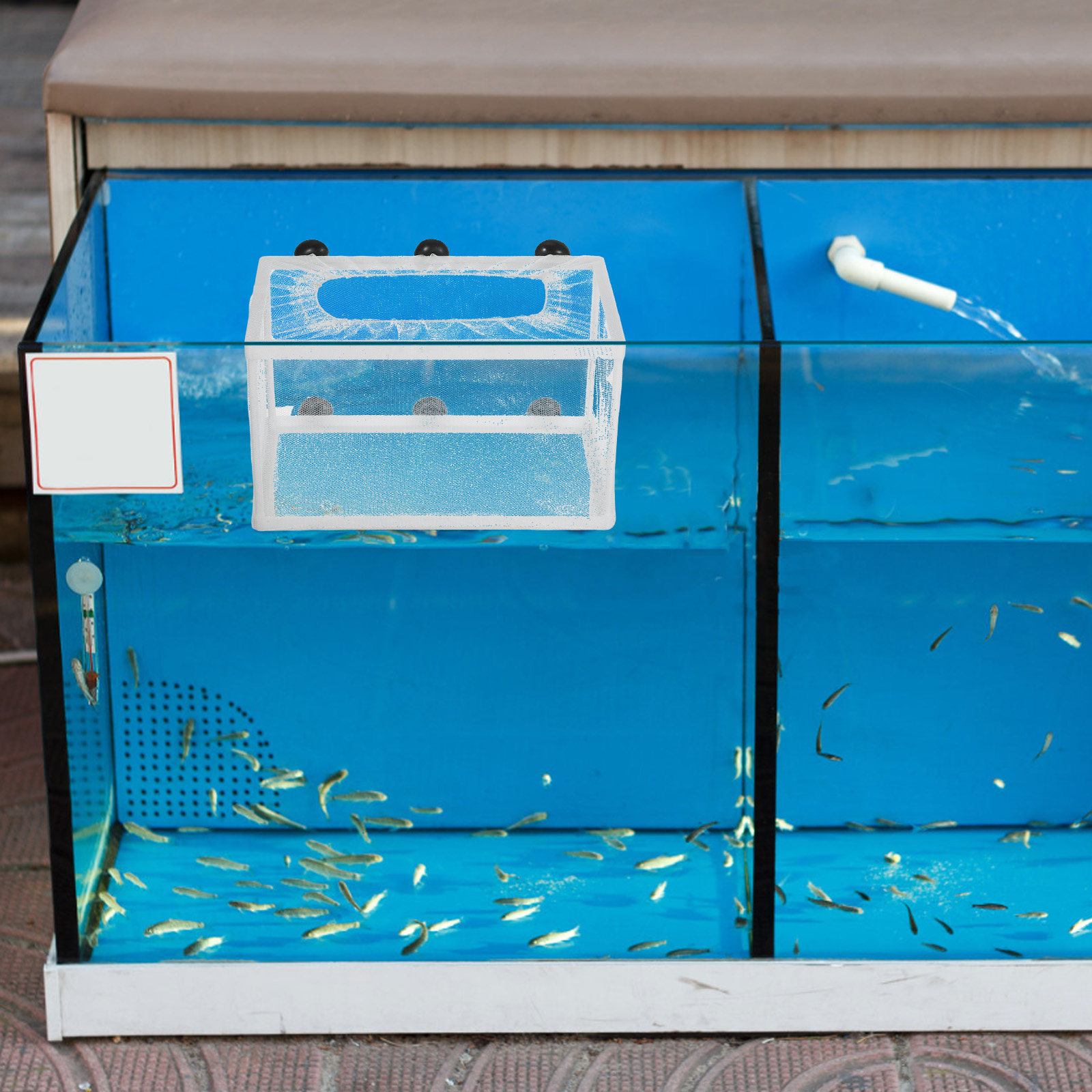 Fish Breeder Net Hatchery Box  - Aquarium Fish Rate ulasan dan harga
