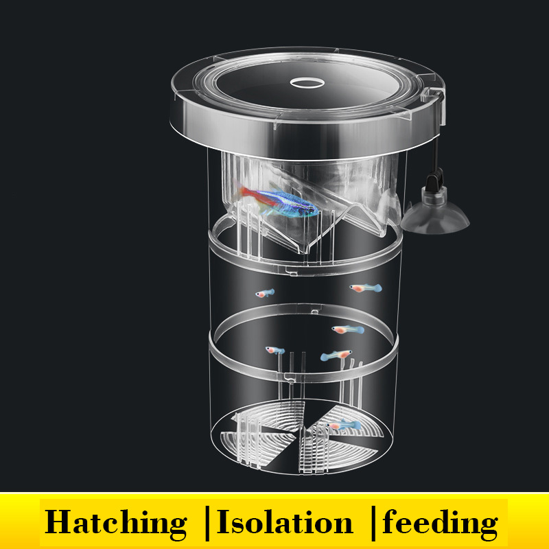Floating Fish Breeding Isolati - Box Fish In Aquarium ulasan dan harga