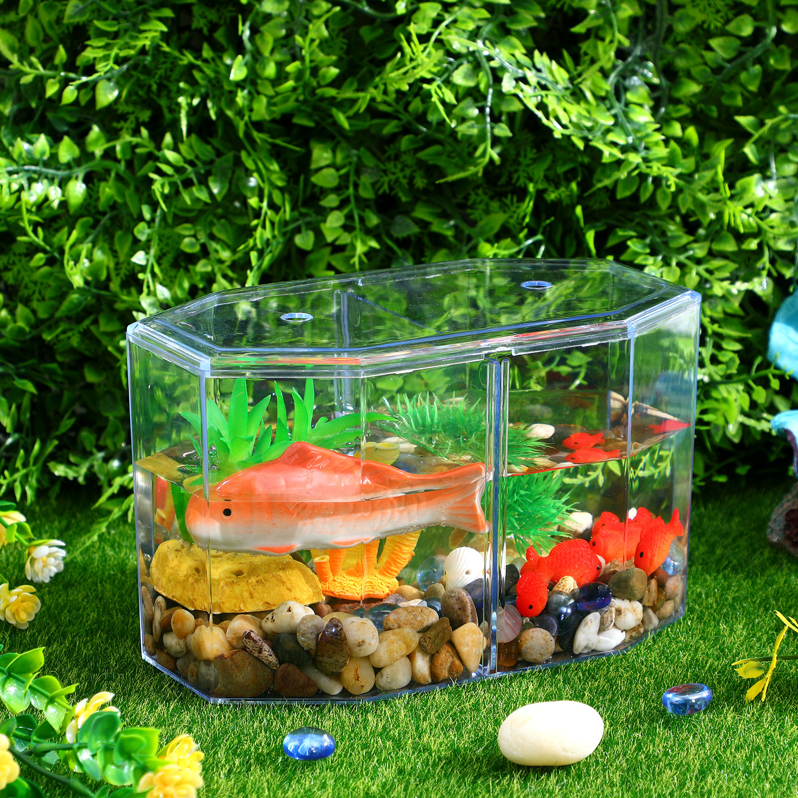Transparent Fish Isolation Bre - Fish Toy In Aquarium ulasan dan harga