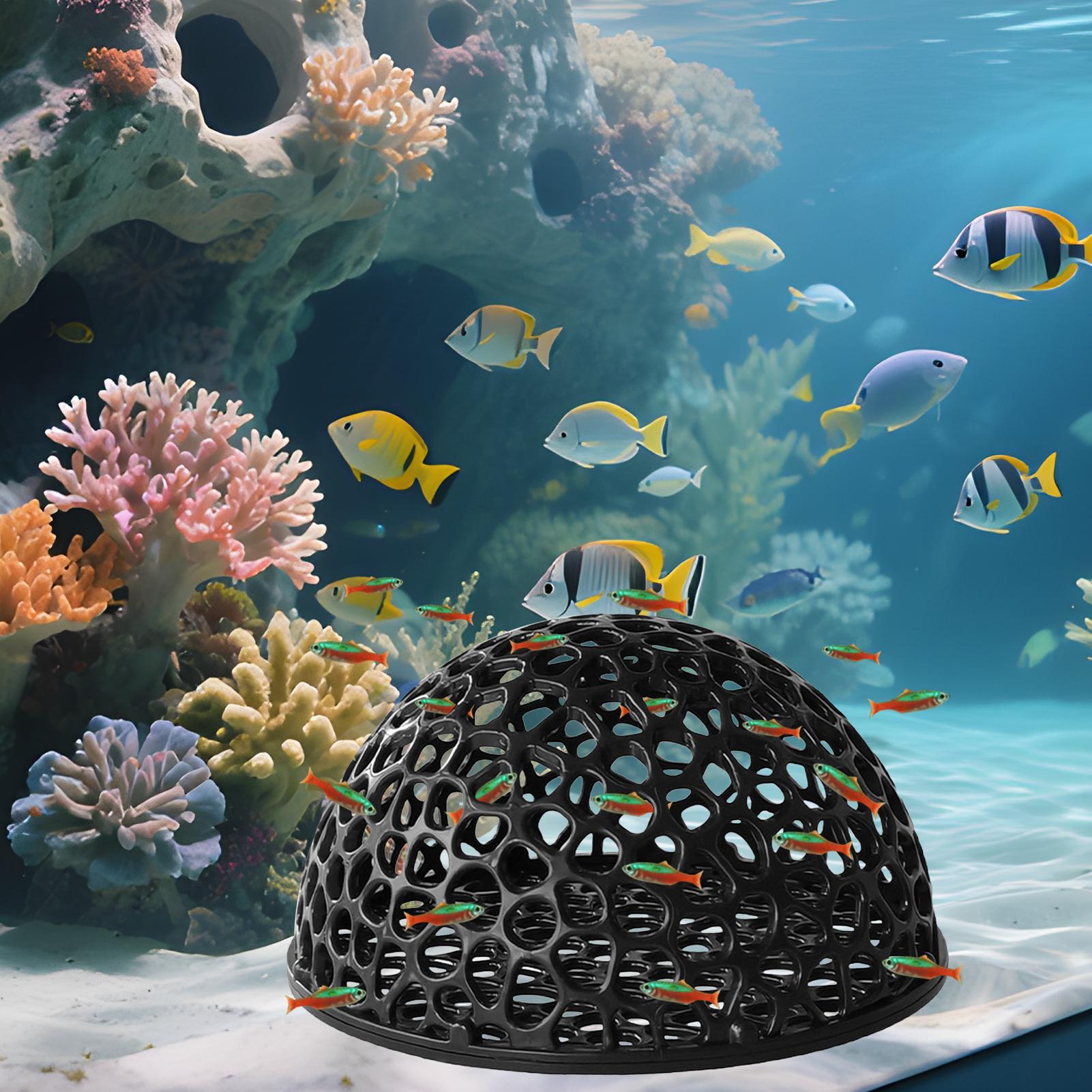 Aquarium Hiden Cave Shelter fo - Aquarium Fish Game ulasan dan harga