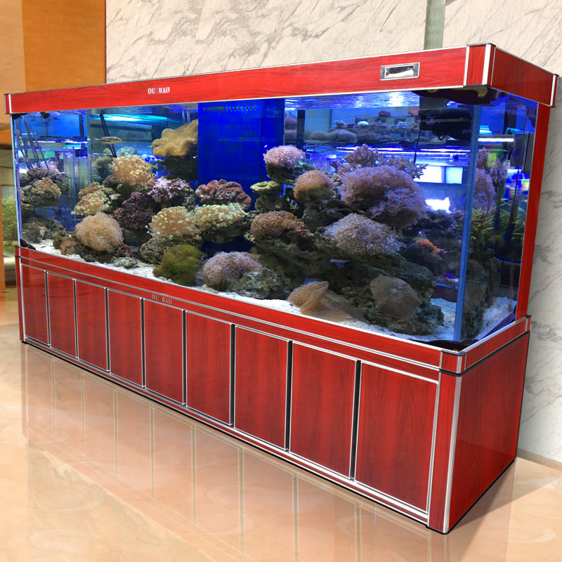 Large Glass Aquarium Unique Fi - Aquarium Fish Unique ulasan dan harga