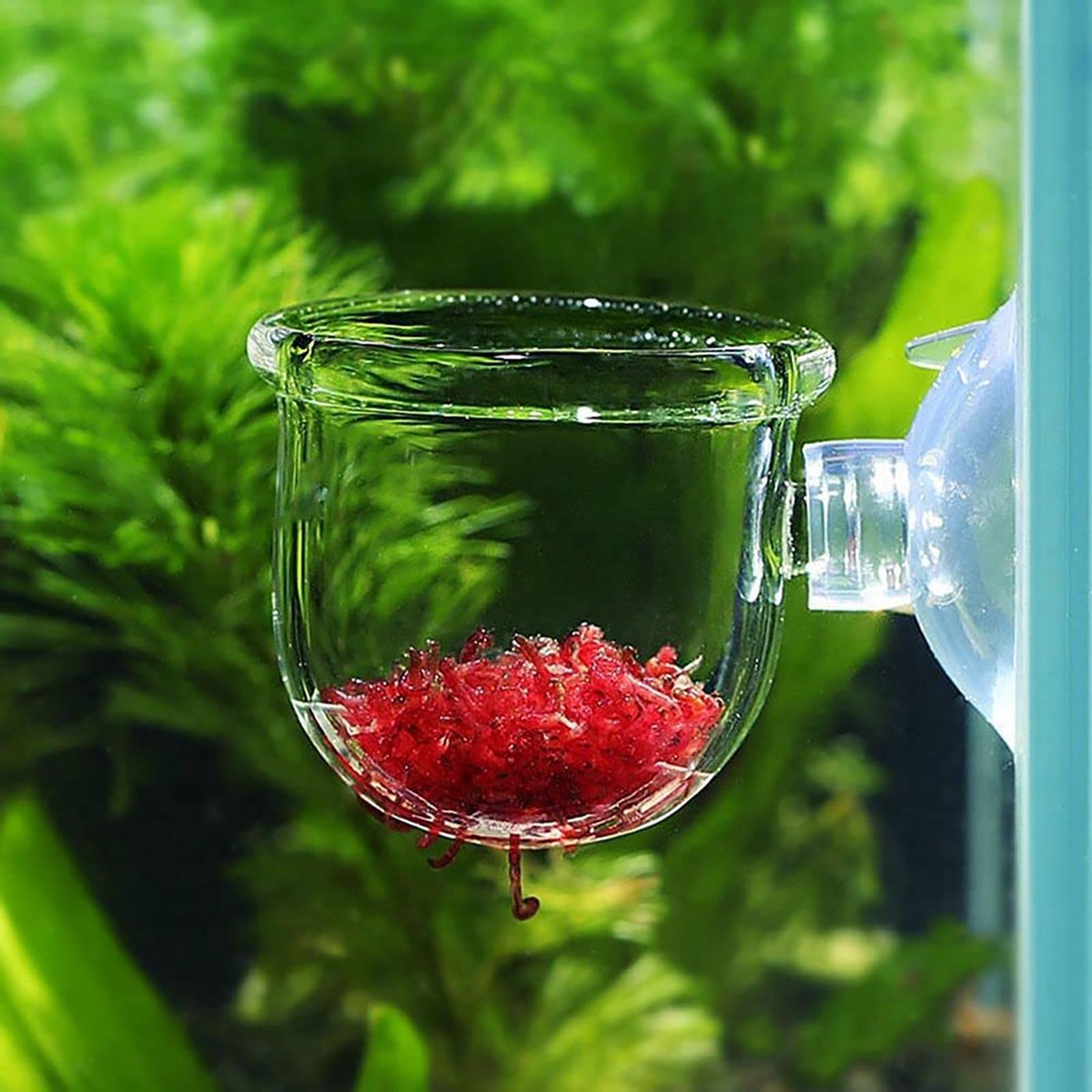 Acrylic Aquatic Plant Cup Aqua - Aquarium Fish Beautiful ulasan dan harga