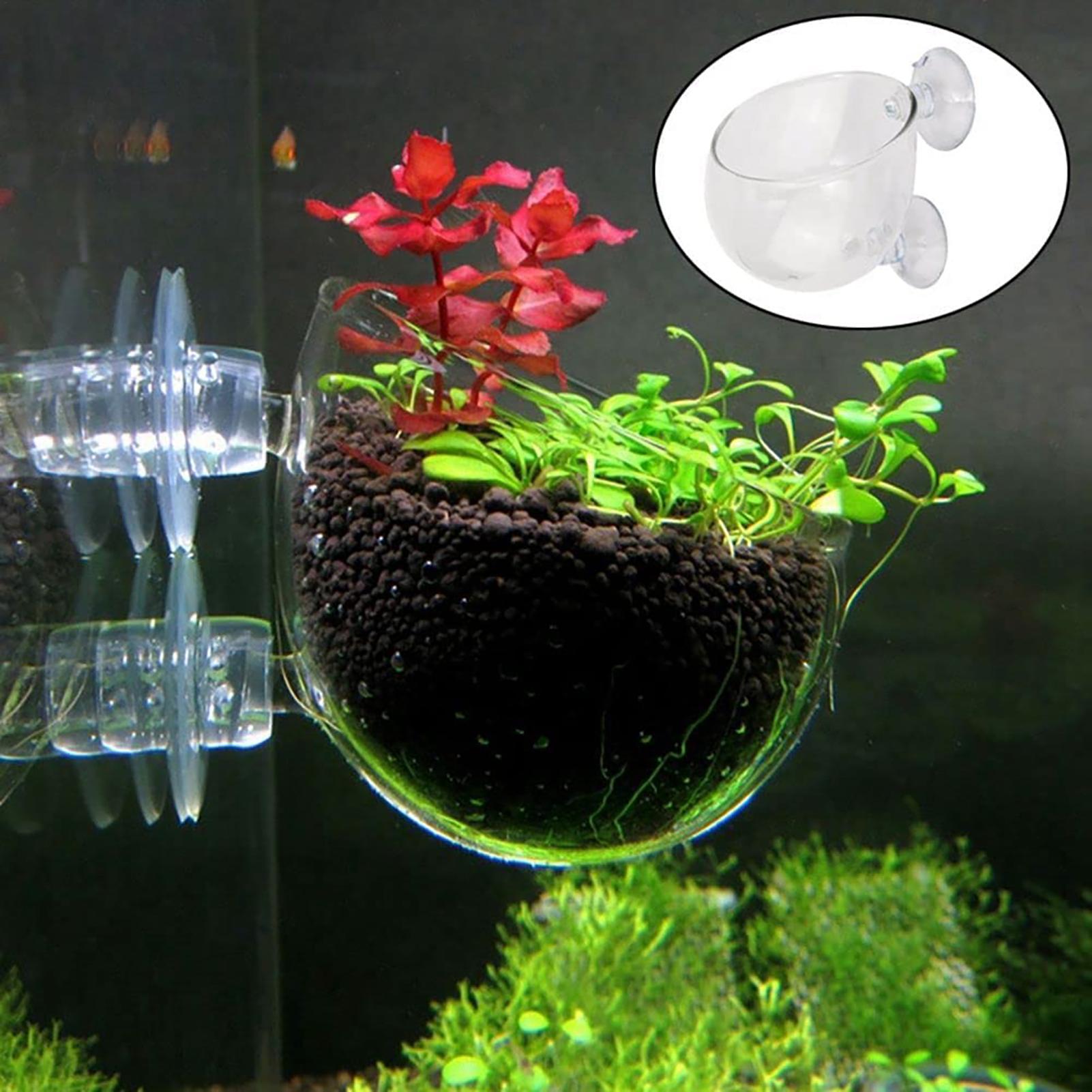 Acrylic Aquatic Plant Cup Aqua - Aquarium Fish Beautiful ulasan dan harga