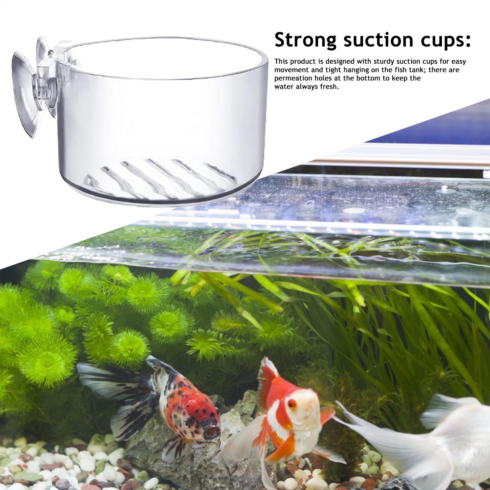 Acrylic Aquatic Plant Cup Aqua - Aquarium Fish Beautiful ulasan dan harga