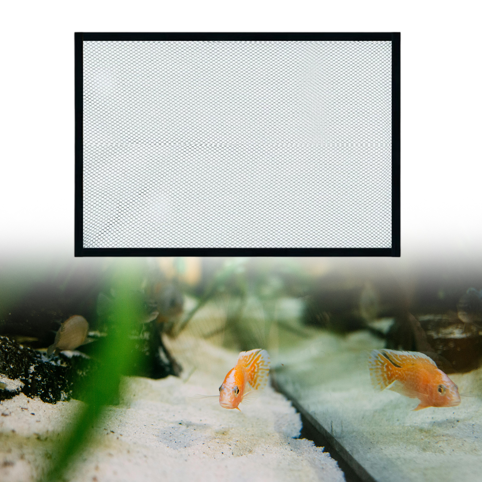 Magnetic Fish Tank Lid Cover A - Aquarium Fish Net ulasan dan harga