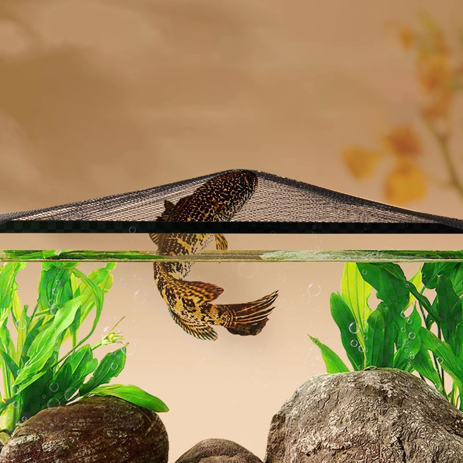 Magnetic Fish Tank Lid Cover A - Aquarium Fish Net ulasan dan harga