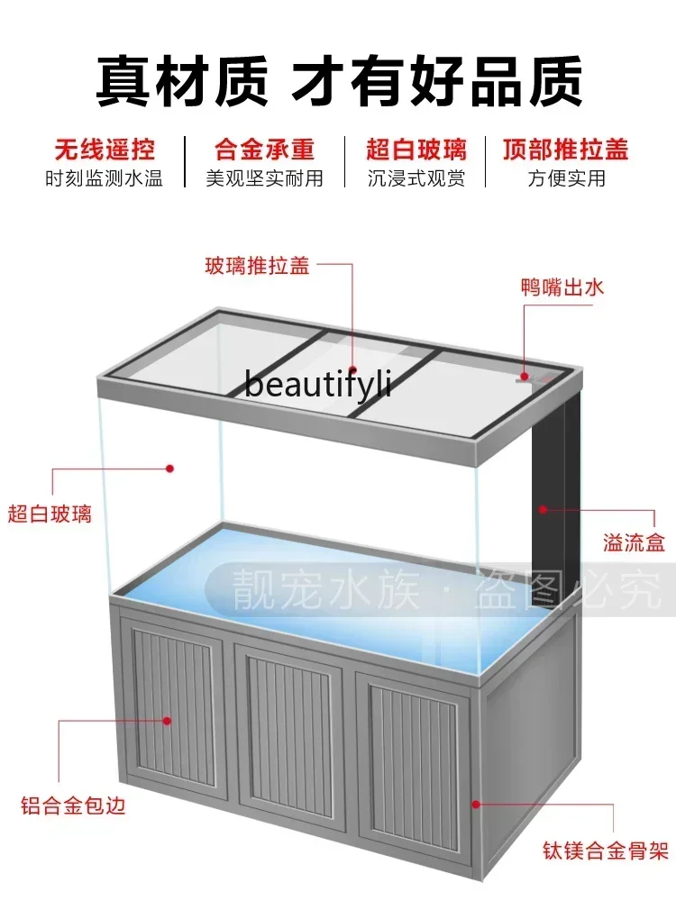 X New Light Luxury Dragon Fish - Xchange Aquarium Fish ulasan dan harga