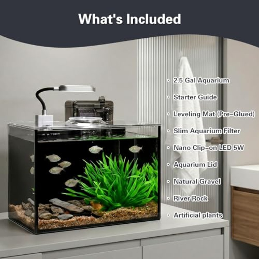 5 Small Aquarium Set Glass Fis - Aquarium Fish Keeping ulasan dan harga