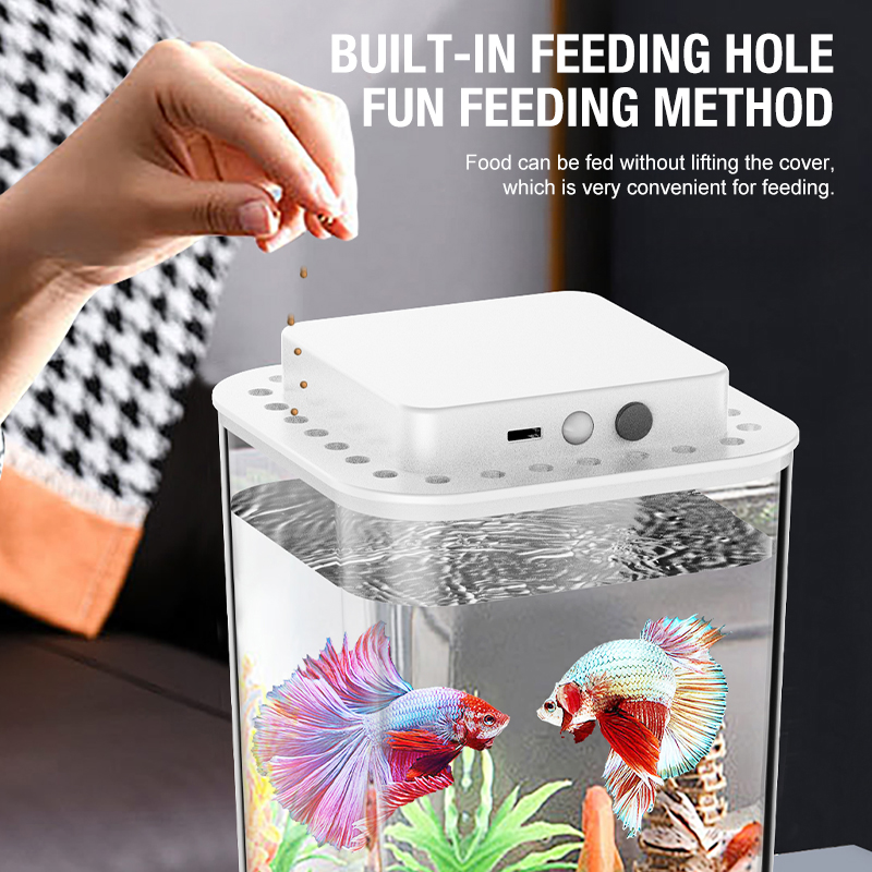 Desktop fish tank, new aquariu - Fish Toy In Aquarium ulasan dan harga
