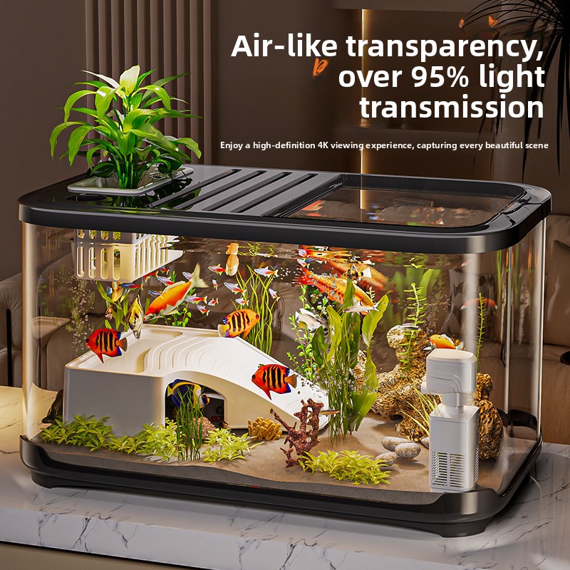 High Definition Transparent Fi - Aquarium Fish Beautiful ulasan dan harga