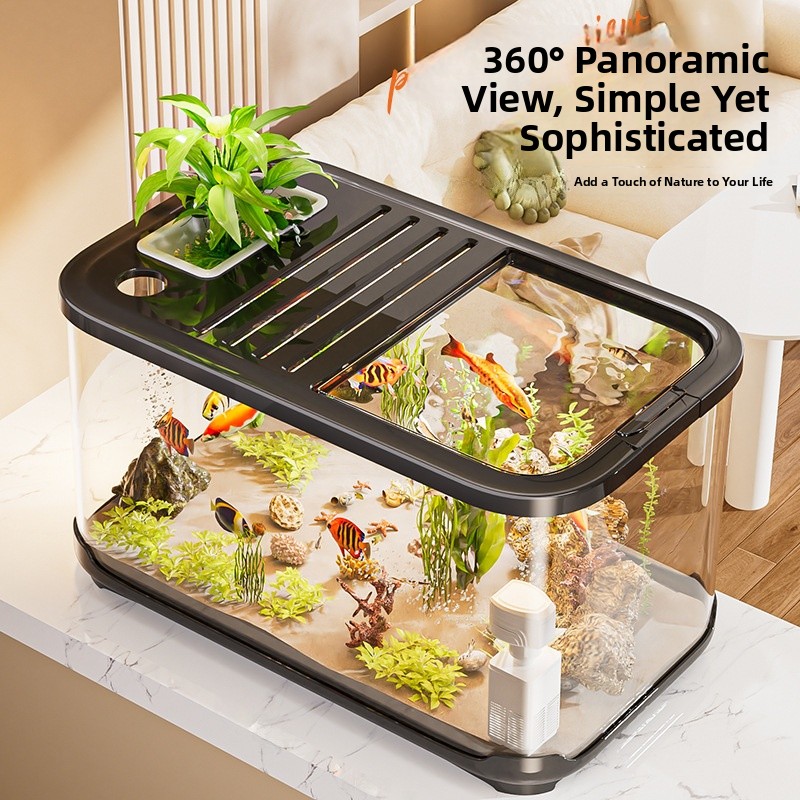 High Definition Transparent Fi - Aquarium Fish Beautiful ulasan dan harga