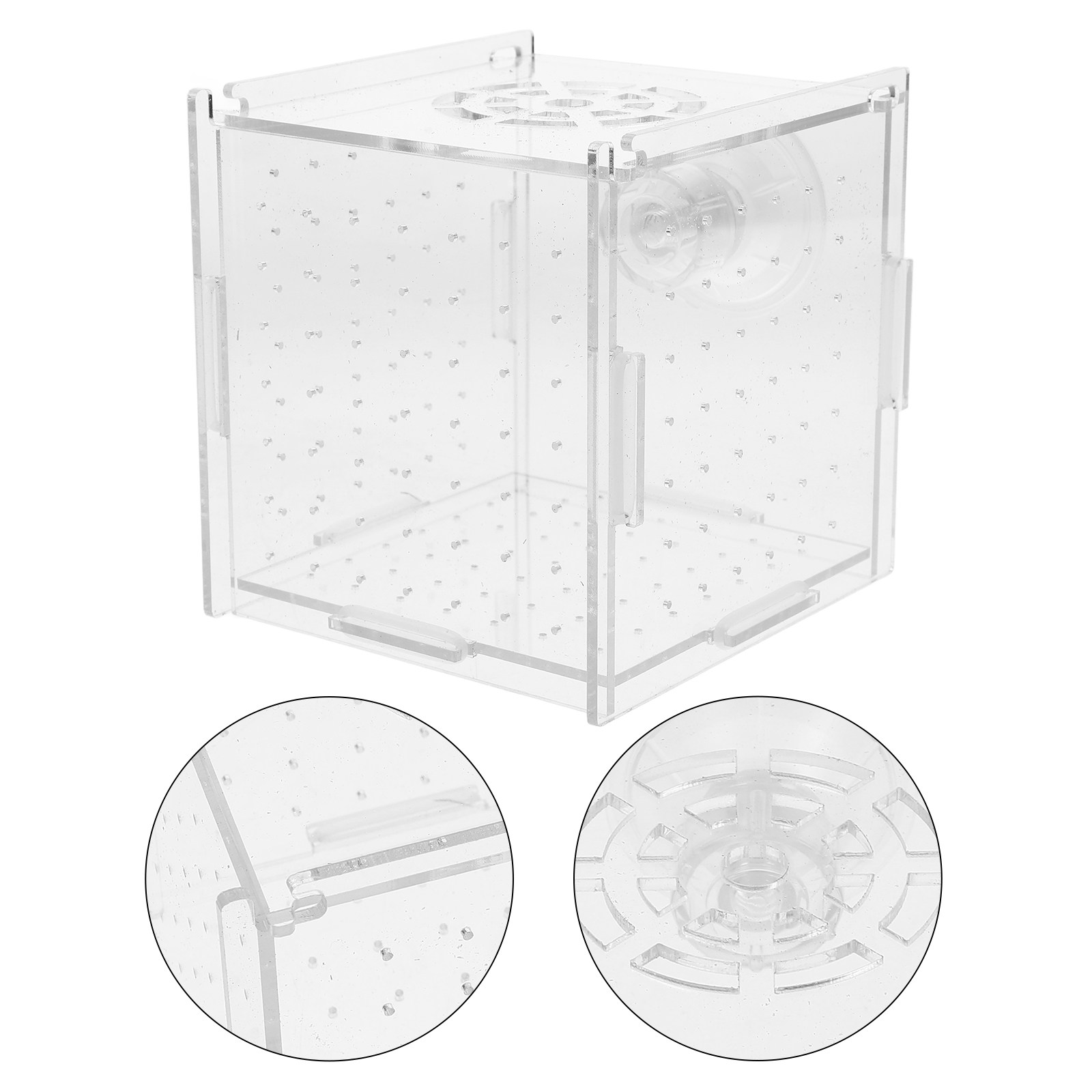 Fish Breeding Isolation Box Cl - Fish Toy In Aquarium ulasan dan harga
